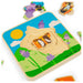 Honeybee Life Cycle Layer Puzzle