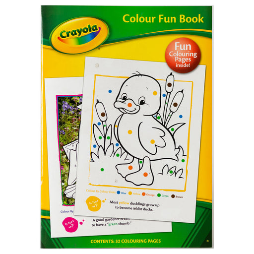 Crayola Activity Book