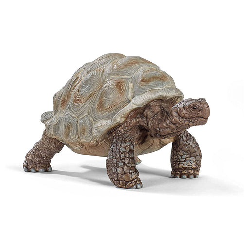 Schleich Giant Tortoise Figure