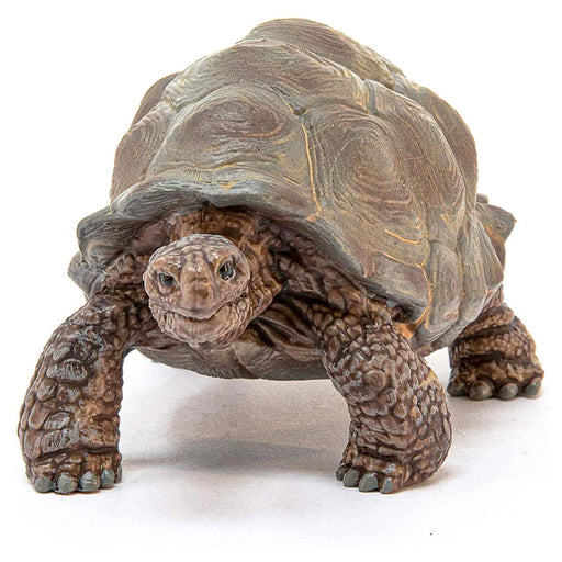 Schleich Giant Tortoise Figure