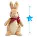 Rainbow Designs Peter Rabbit Flopsy 16cm Soft Toy