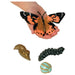 Insect Lore Butterfly Life Cycle Figurines