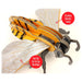 Build Your Own Mini-Builds Honey Bee Slot Together Cardboard Kit