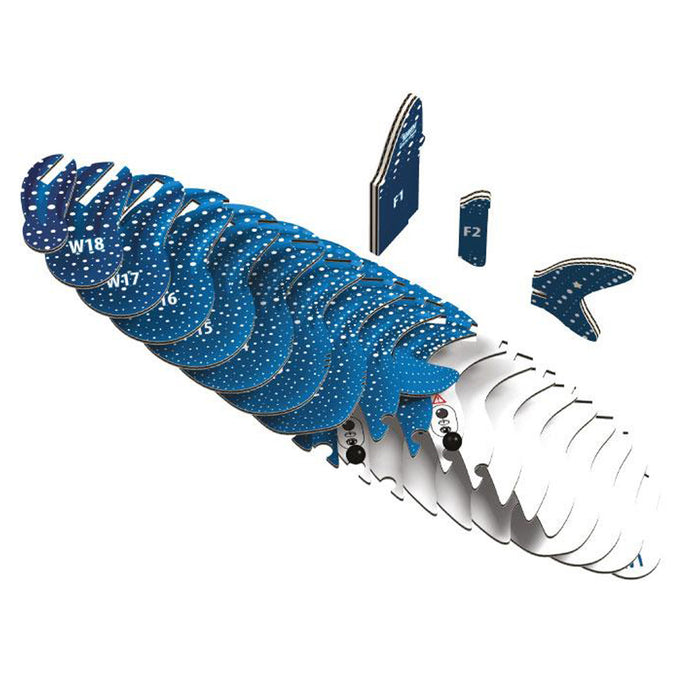  EUGY Whale Shark 3D Cardboard Model Kit