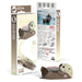 EUGY Sea Otter 3D Cardboard Model Kit