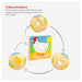 Chicken Life Cycle Layer Puzzle