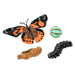 Insect Lore Original Butterfly Pavilion Kit