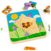 Honeybee Life Cycle Layer Puzzle