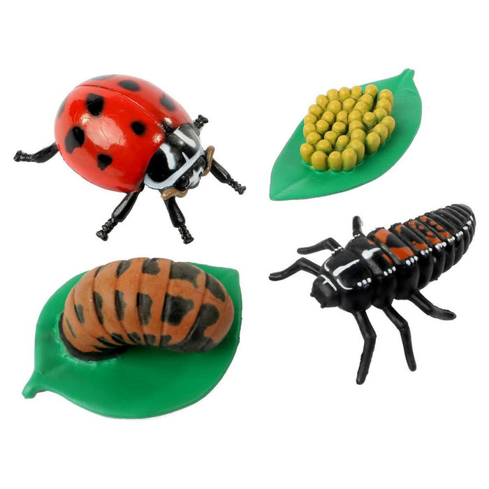 Ladybird Life Cycle Figurines