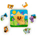 Honeybee Life Cycle Layer Puzzle