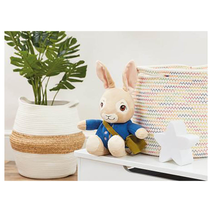 Talking Peter Rabbit Soft Toy