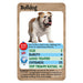 Dogs Top Trumps Classics Card Game