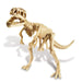 Dinosaur Dig a Skeleton - T-Rex 