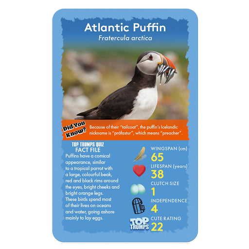 Birds of the World Top Trumps Classics Card Game