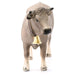 Schleich Farm World Braunvieh Cow Figure